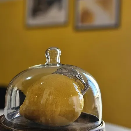 Apartment Yellow